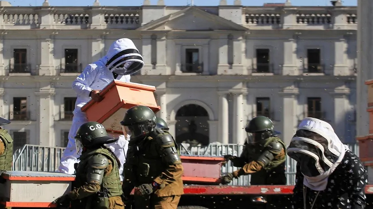 Şili'de arıcılar eylemde! Arıları saldılar, 7 polisi arı soktu