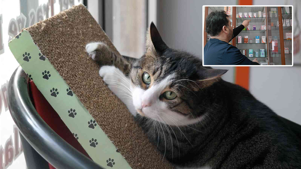 Veteriner Hekim Mehmet Kızılinler'den hayvanlar için sahte ve kaçak aşı uyarısı