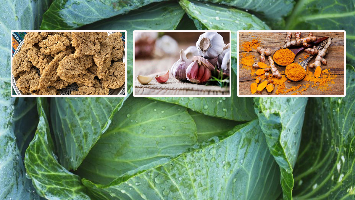 Bunları tüketen hasta olmuyor: Süper besinler