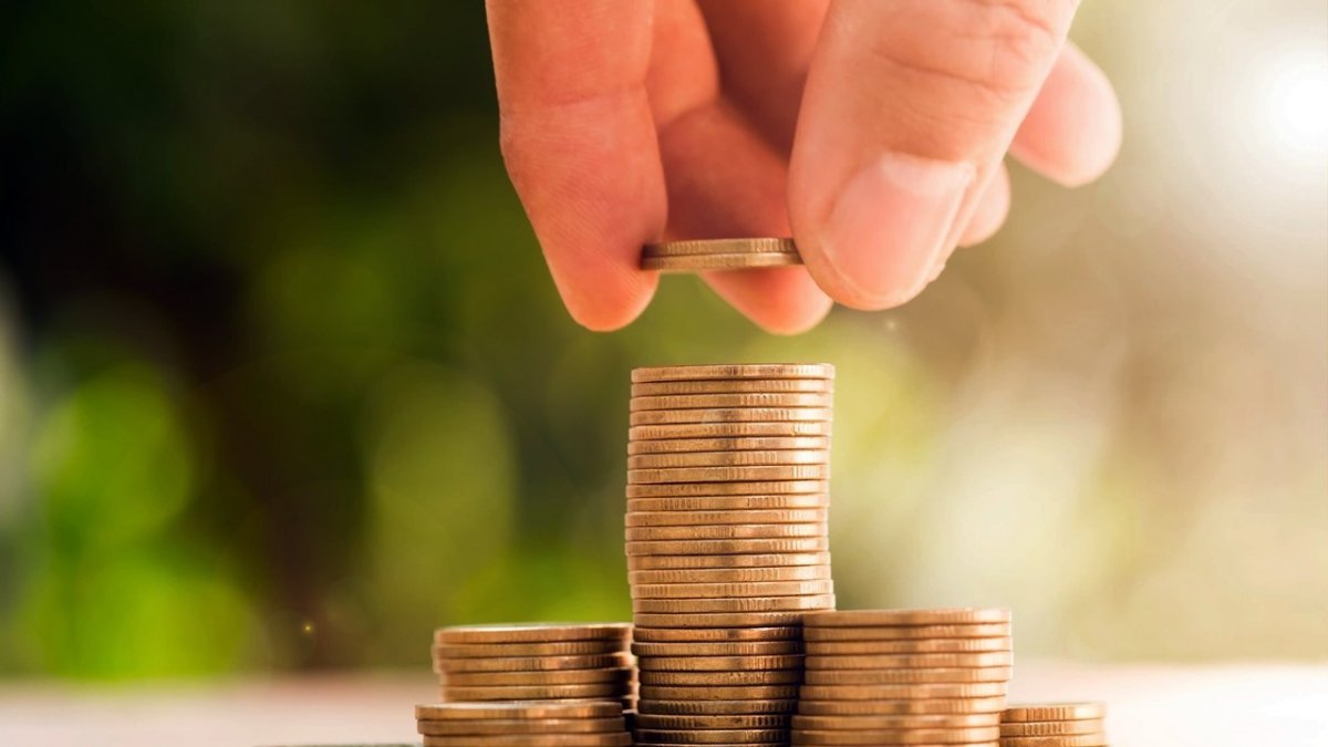 BES'te devlet katkısı yüzde 30'a çıkacak