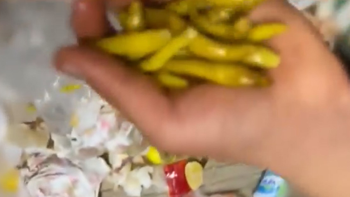 Kadıköy'deki tantunicide skandal görüntüler! 'Müşteri ısırmıyor bile, niye çöpe atalım?'