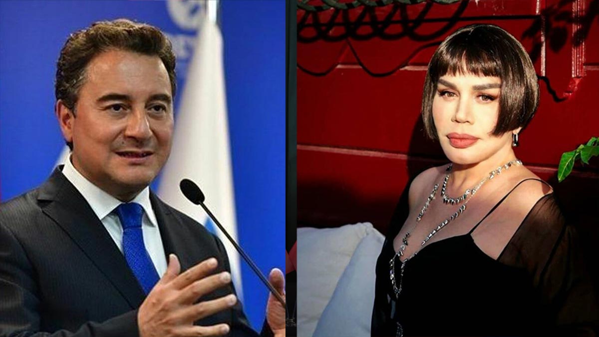 Ali Babacan'dan Sezen Aksu açıklaması: Hedef alınması kabul edilemez