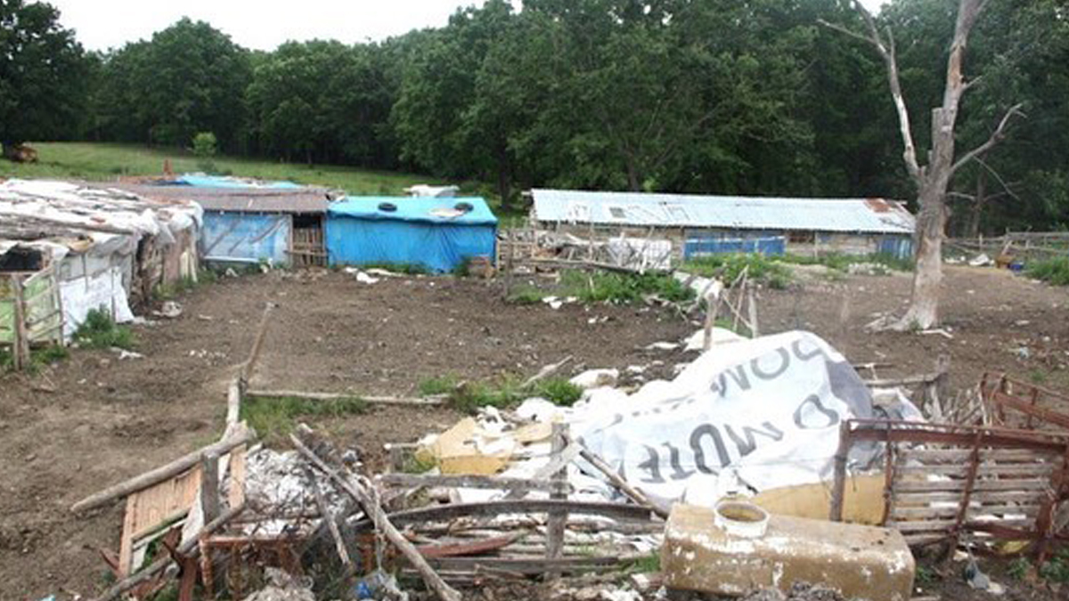 İğneada longoz ormanlarındaki kaçak yapılara neşter