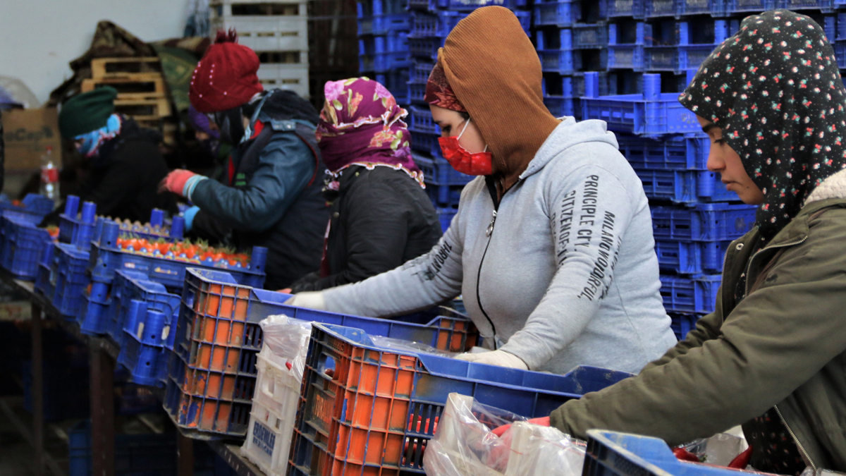 Dondurucu soğuklar toptancı halini de vurdu, fiyatlar yüzde 50 arttı