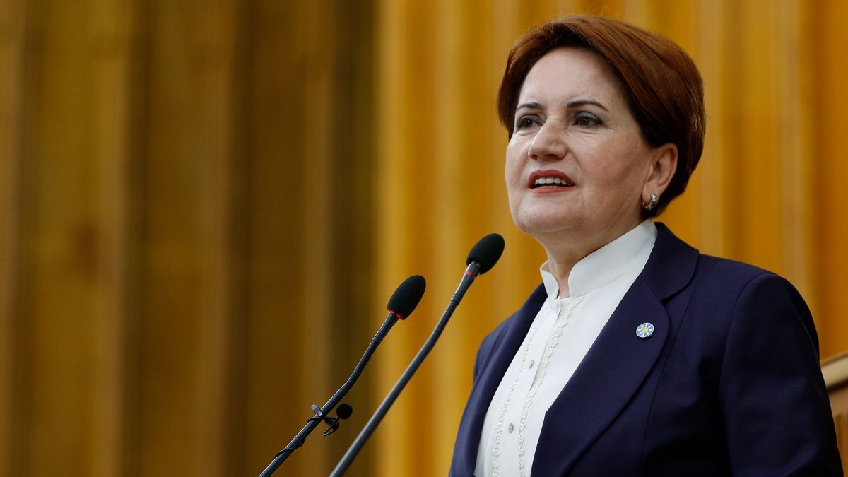 Meral Akşener'in koronavirüs testi pozitif çıktı