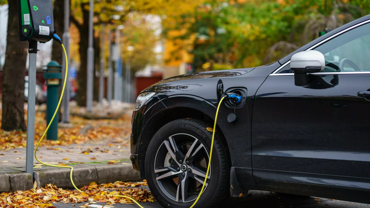 2021'de en çok satılan elektrikli otomobiller hangileri?