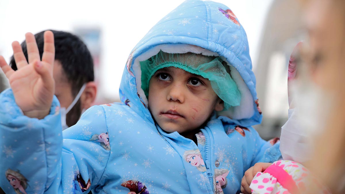 Asiye'ye saldıran köpekler silah sayıldı