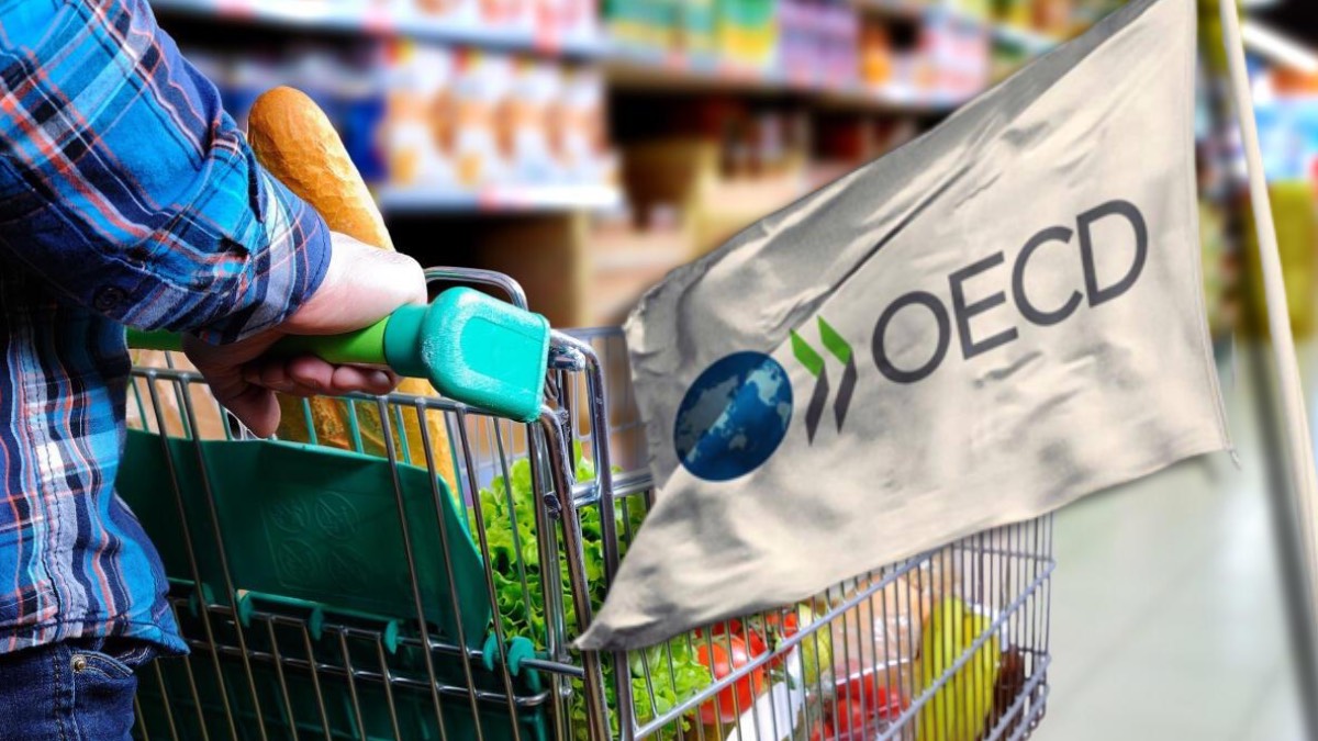 OECD'den Türkiye karşılaştırmalı enflasyon raporu: Son 30 yılın rekoru