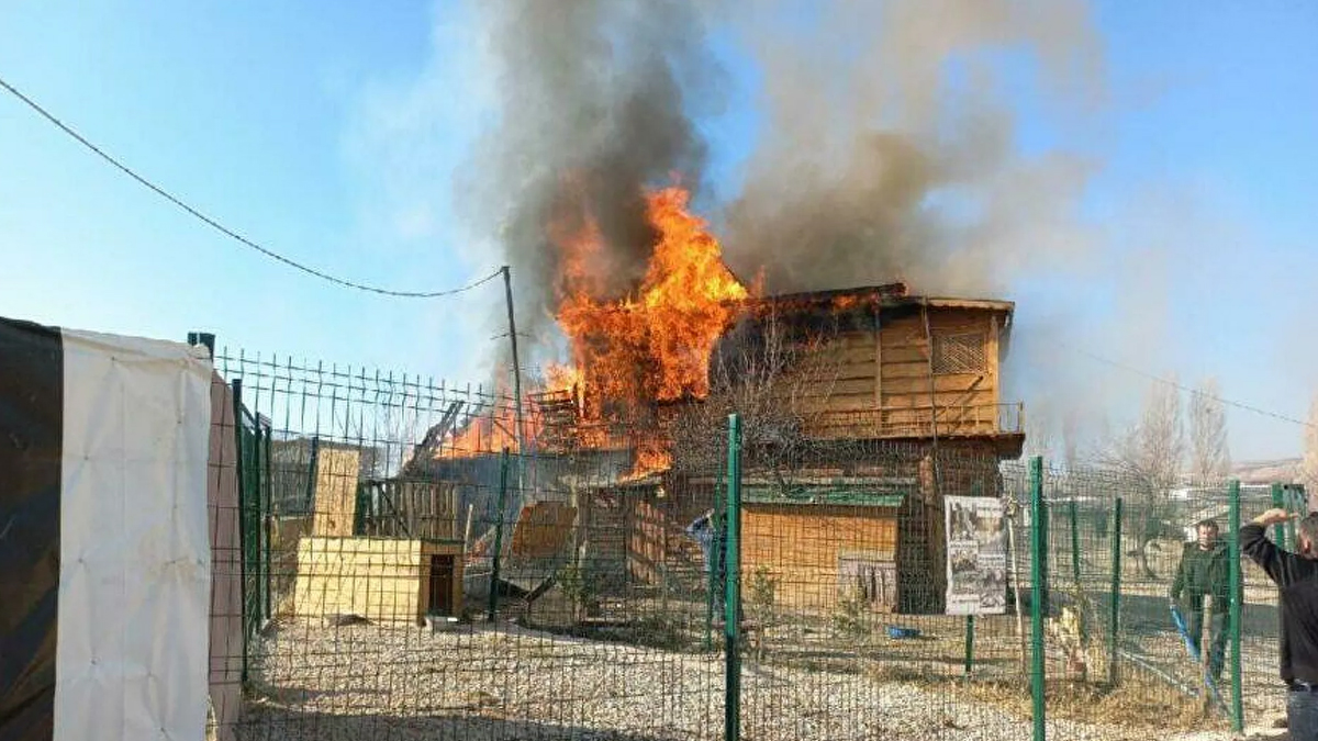 Ankara’da barınakta yangın: 4 köpek öldü