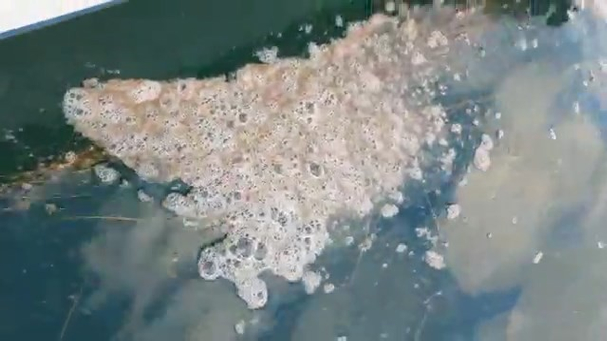 Çanakkale Boğazı'nda yine müsilaj kabusu: Grup grup öbekleşmiş durumda