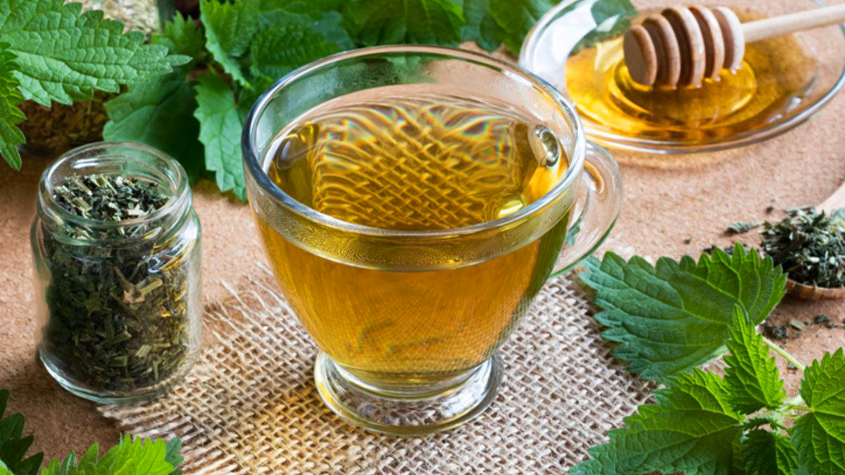 Akciğer kanserine karşı bedeni zırh gibi koruyan kür