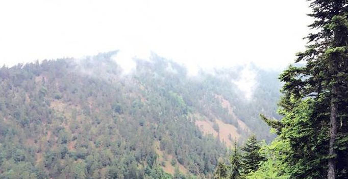 Giresun Alucra'da askeri helikopter düştü: Olay yerinden ilk görüntüler... Son dakika haberleri