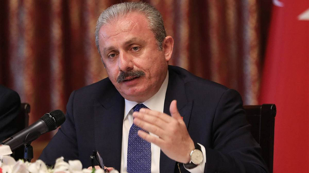 Şentop'tan dikkat çeken 'Rusya-Ukrayna' yorumu: Uluslararası hukuk bırakmadılar