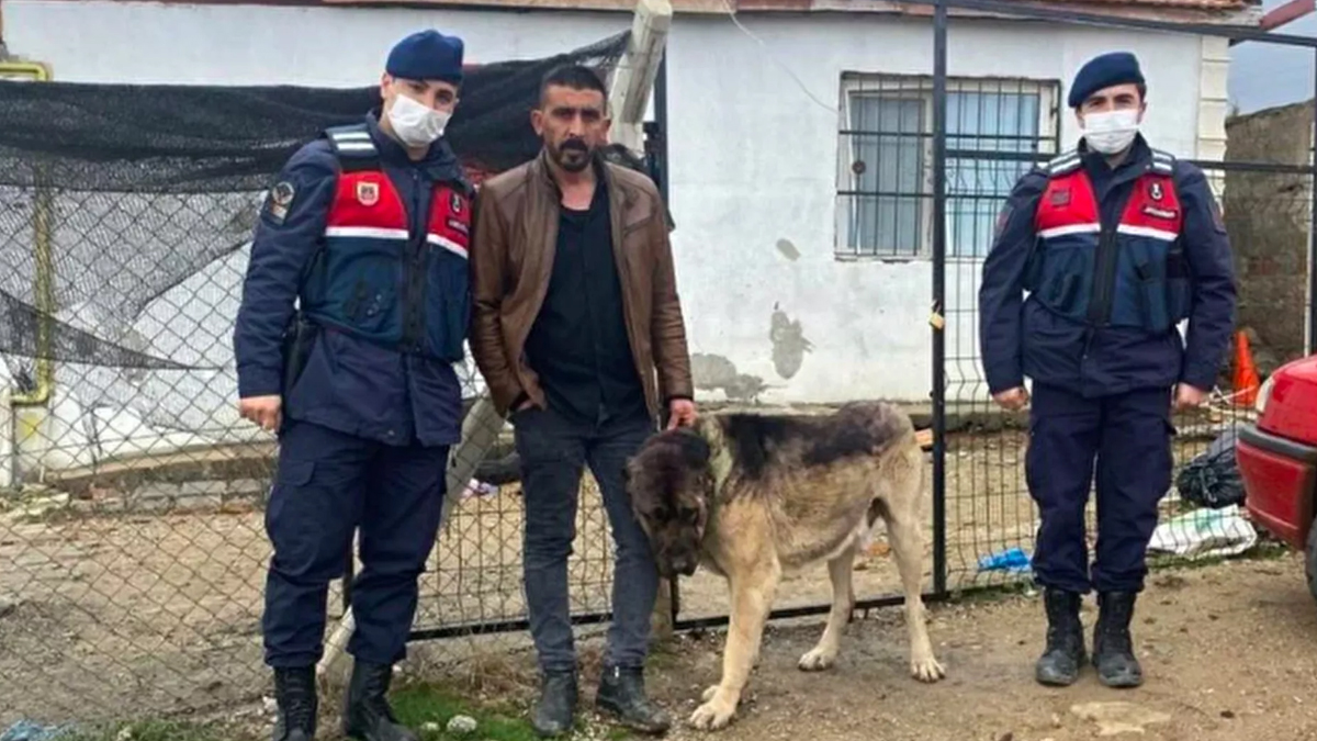 Tanınmaması için çaldığı köpeği siyaha boyadı