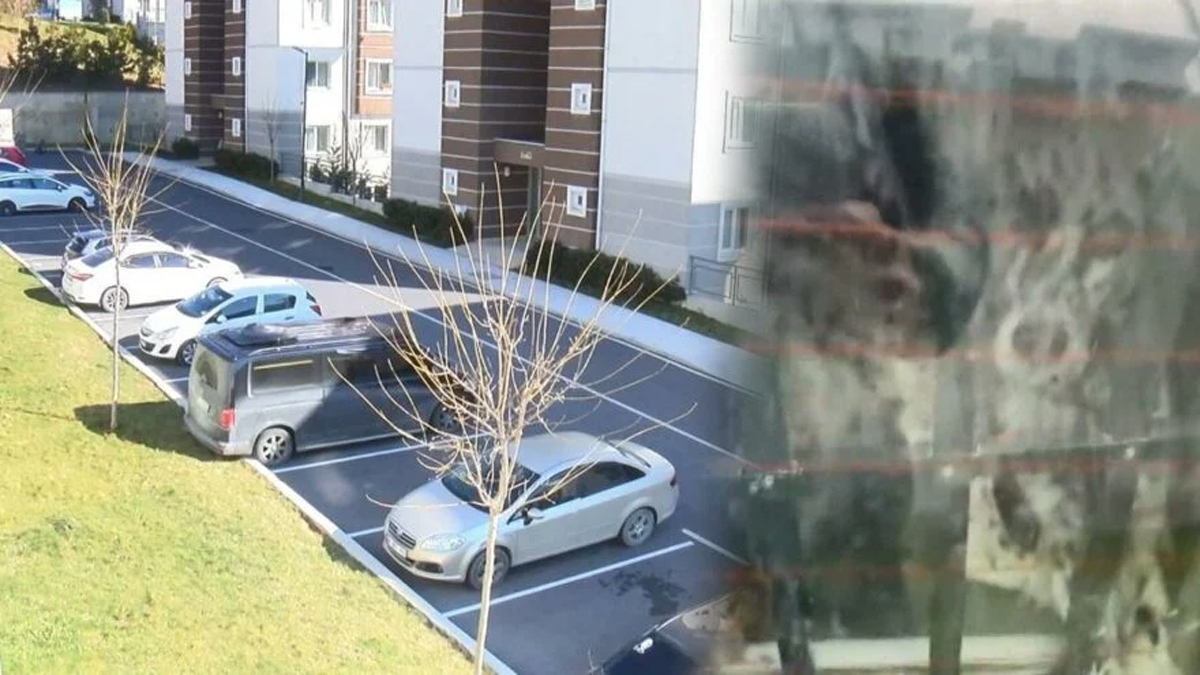 5 aydır bagaja hapsedilen köpek hayvanseverler tarafından kurtarıldı