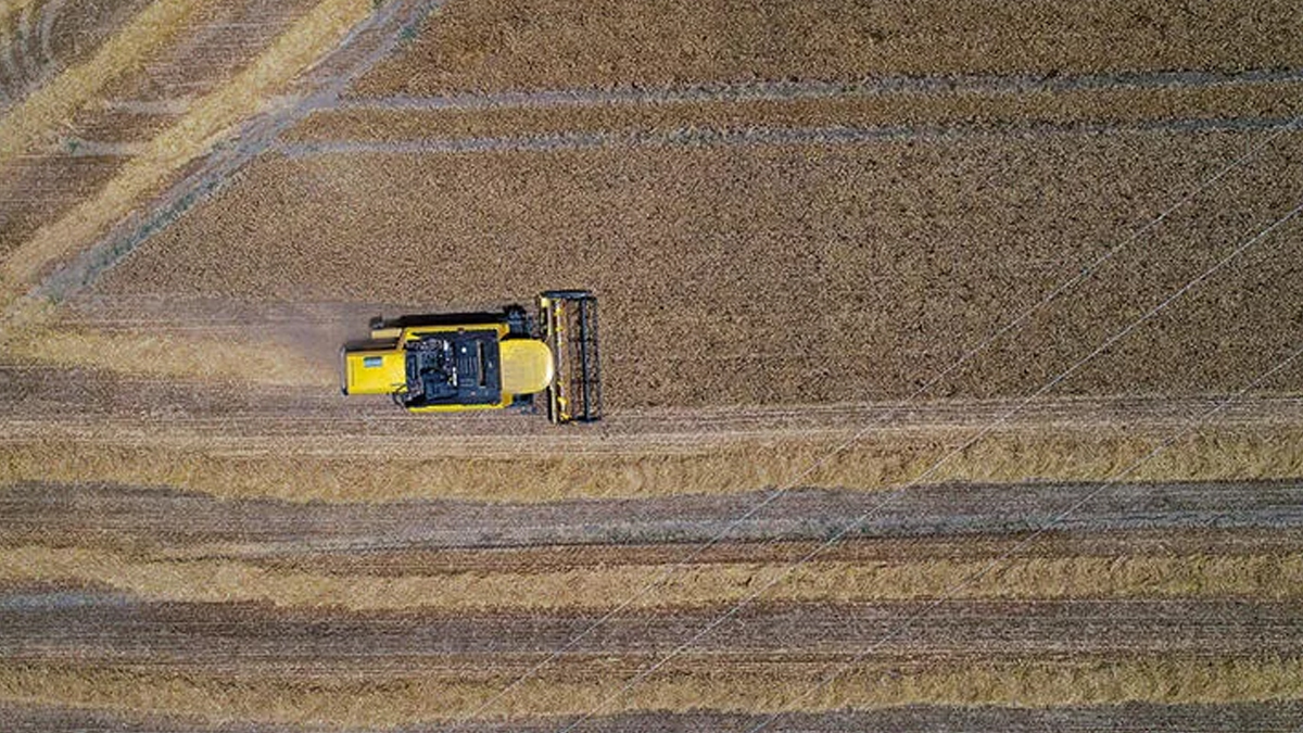 BM Raporu: Küresel gıda fiyatları şubatta rekor seviyeye ulaştı