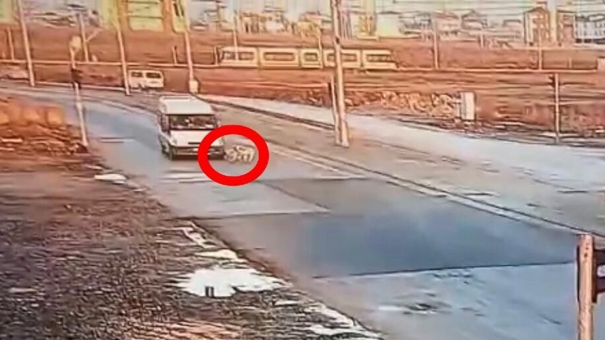 Eskişehir'de yürekleri sızlatan olay: Yaralı köpeği yerde sürükledi