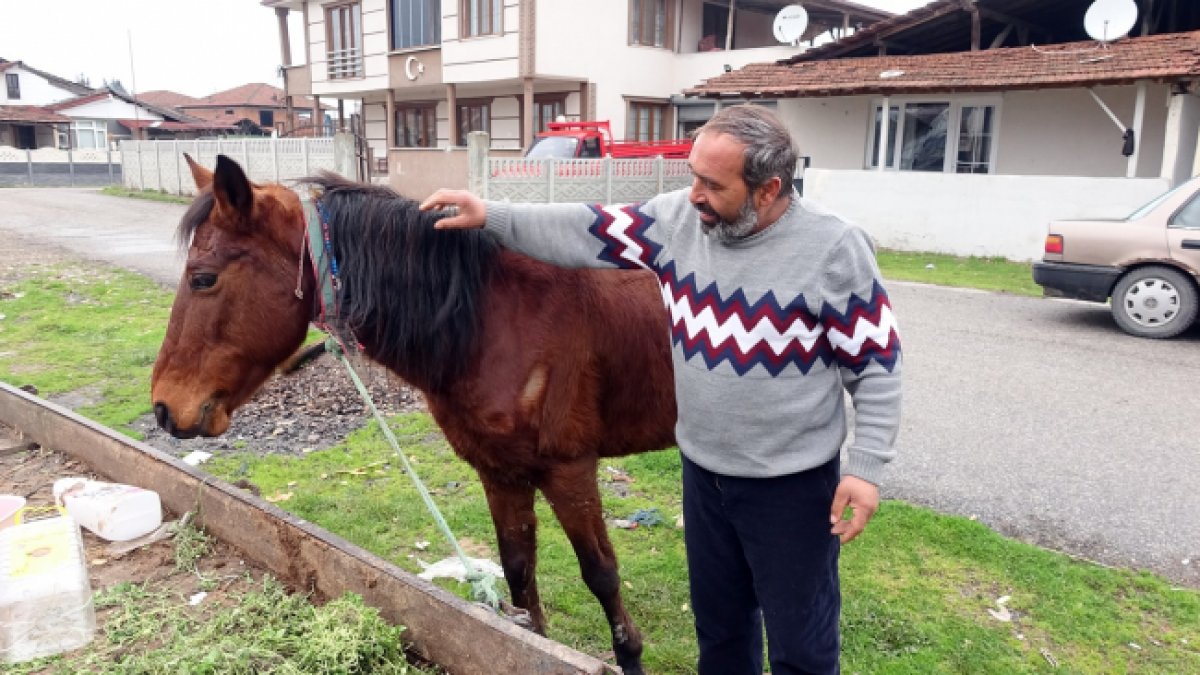 Düzce'de atı yorulunca arabayı kendisi çekti