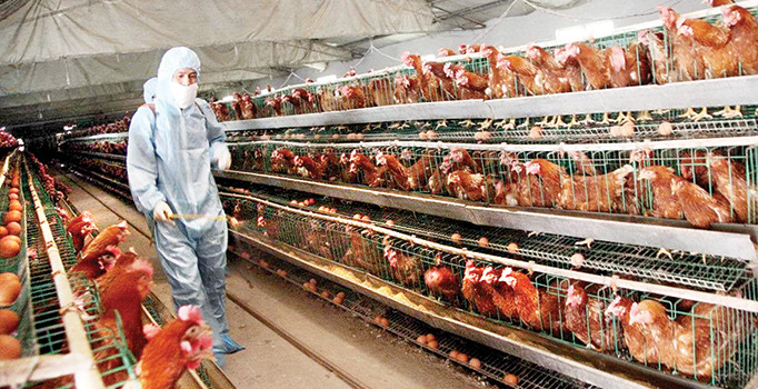 Banvit'in yüzde 79,48'i satıldı