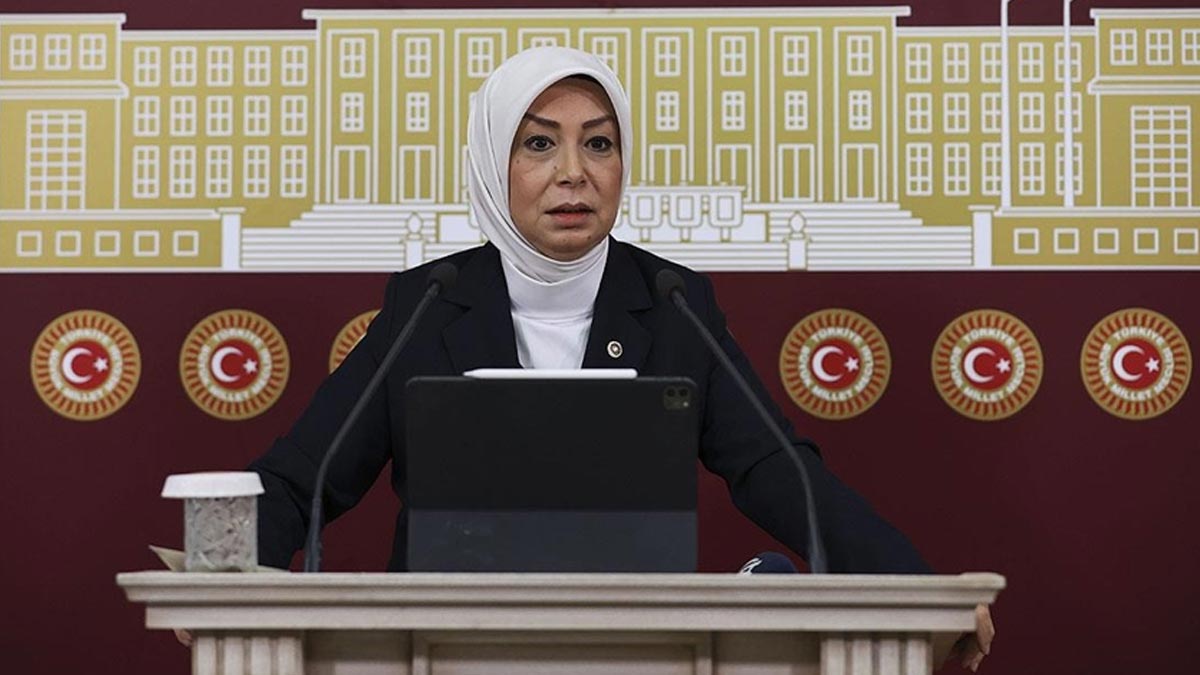 AK Parti'den Bergen Açıklaması: Daha fazla ceza alacaktı