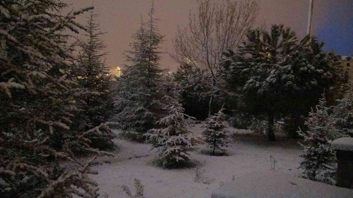 Kocaeli’de ağaca asılı halde ceset bulundu