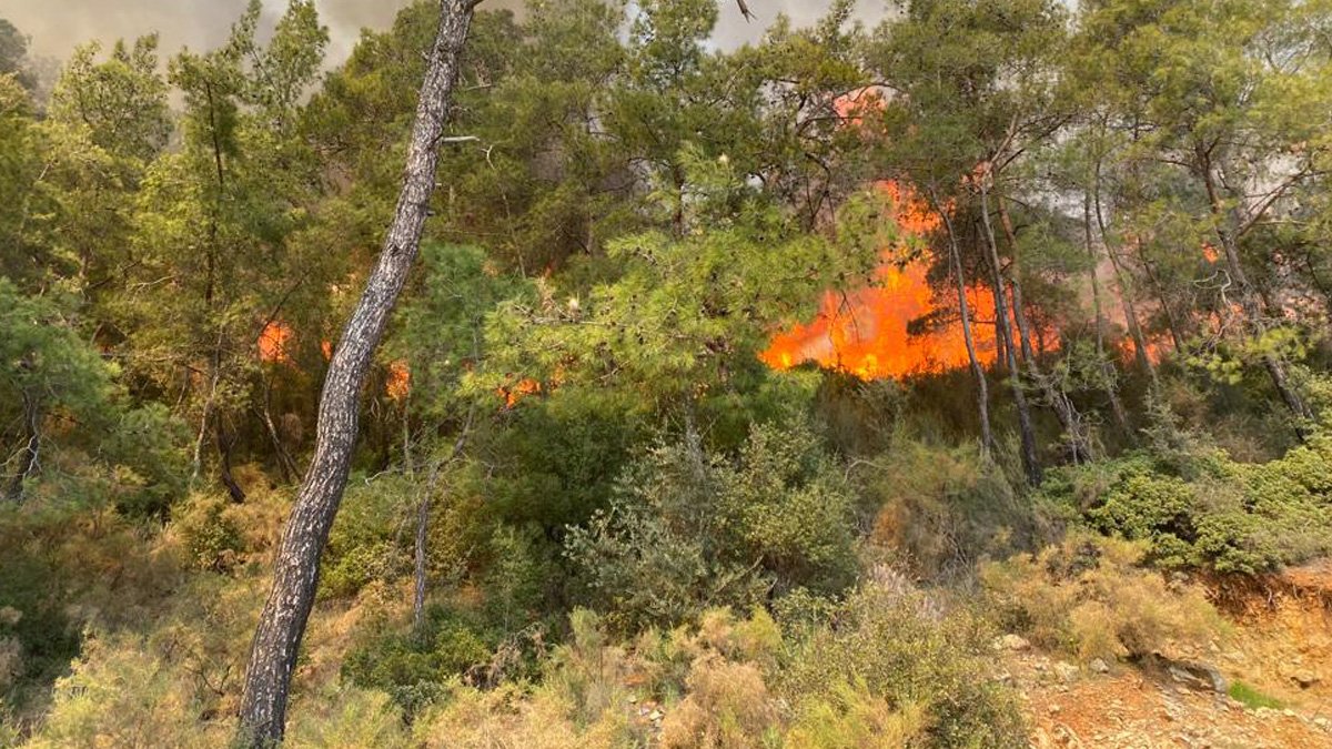 Kastamonu’da ormanlık alanlara girişler kapatıldı