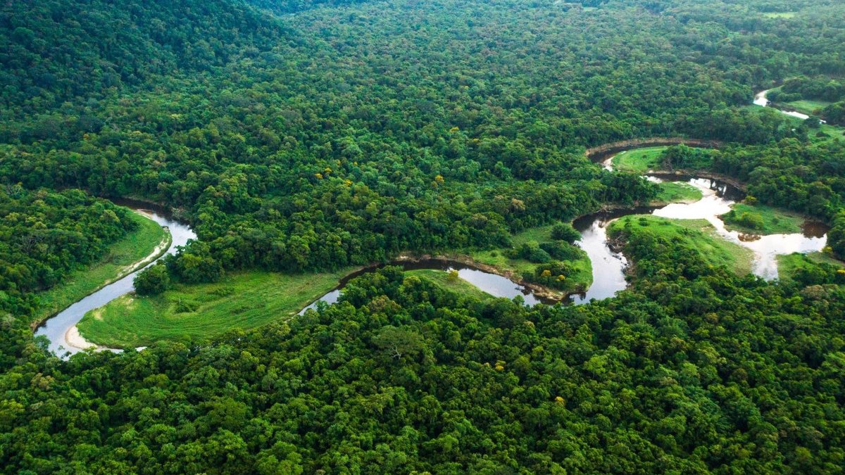Ali Öztunç'tan Doğa Hak İhlalleri raporu: Doğal alanların işgalinin önü açılıyor