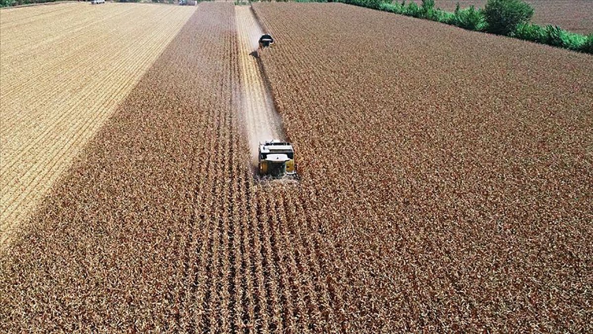 TÜİK verileri ortaya koydu:Tarımsal üretim maliyetinde rekor enflasyon