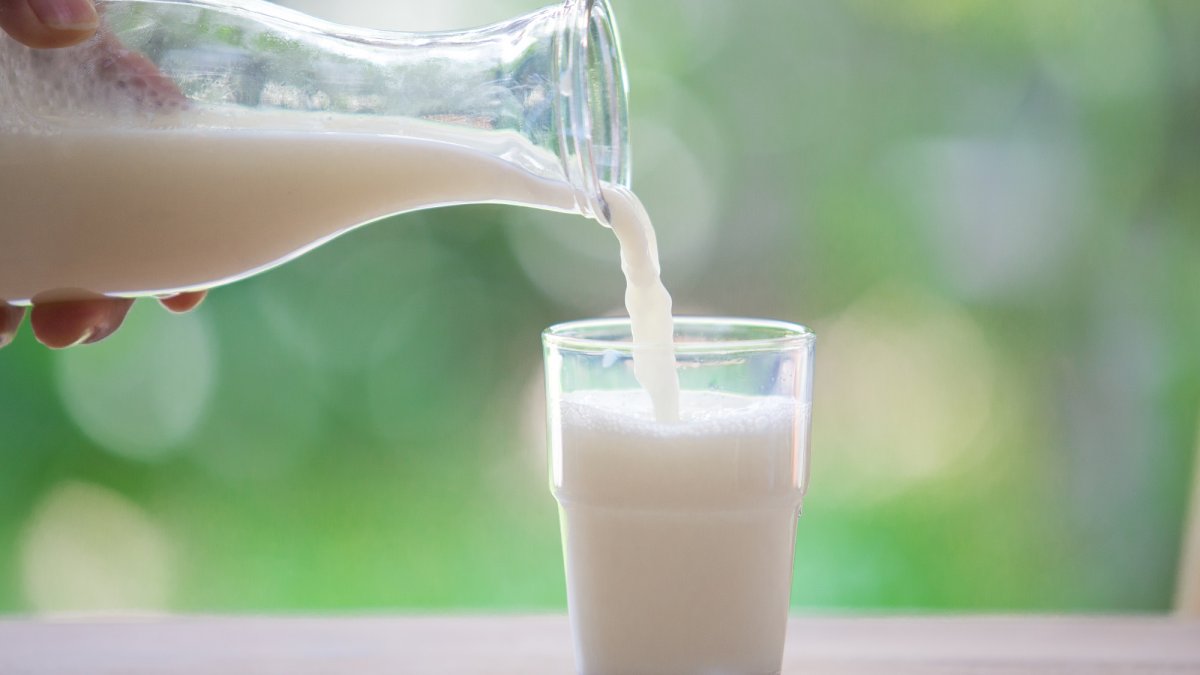 Adana Çiftçiler Birliği Başkanı Mutlu Doğru: Bu fiyatla süt üretimi imkansız