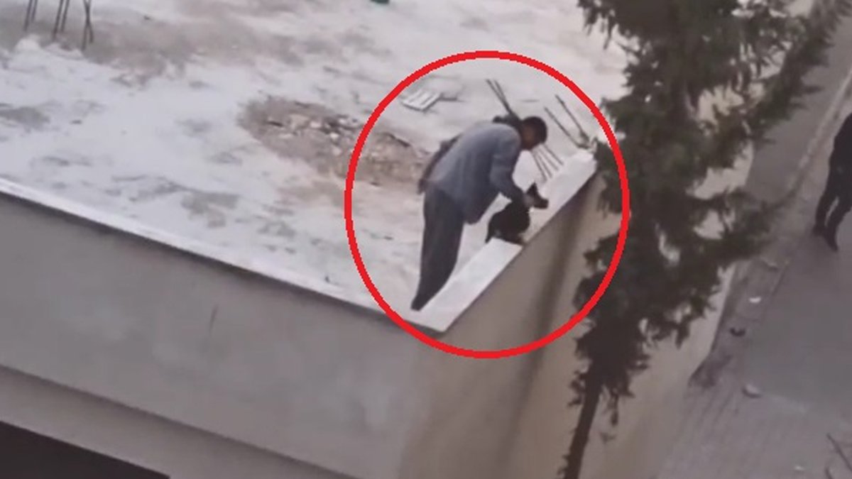 Mersin'de köpek yavrusuna şiddet cep telefonu kamerasında