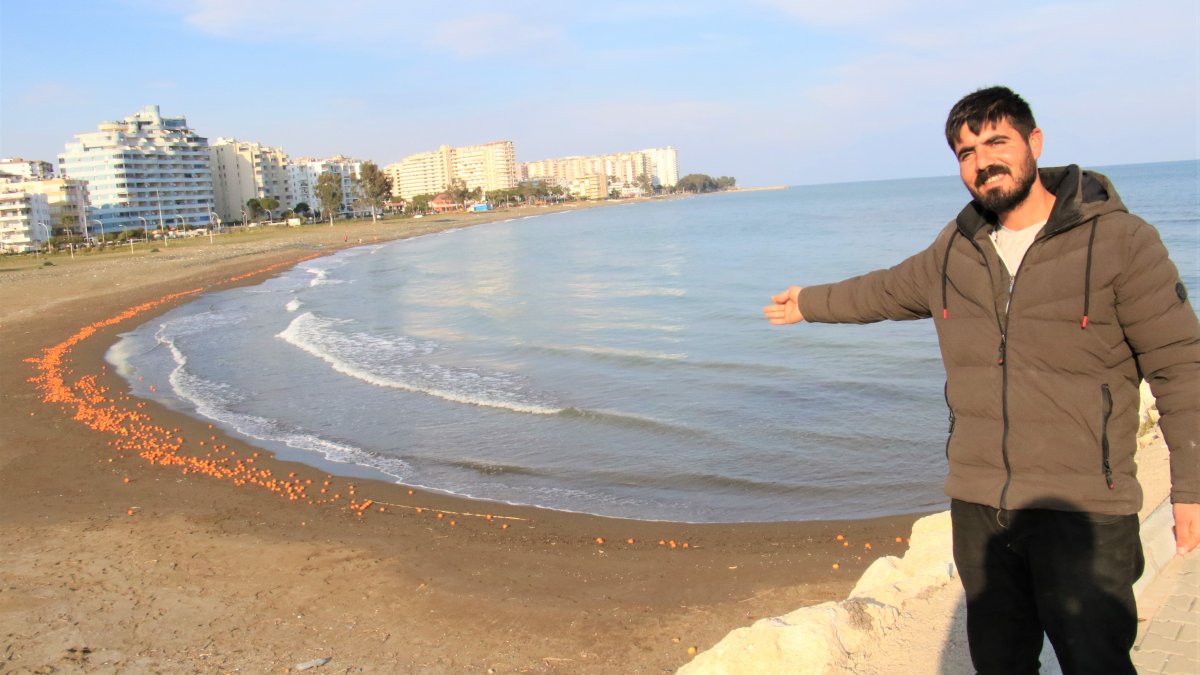 Görenler şaşkına döndü: Mersin'de binlerce portakal sahile vurdu