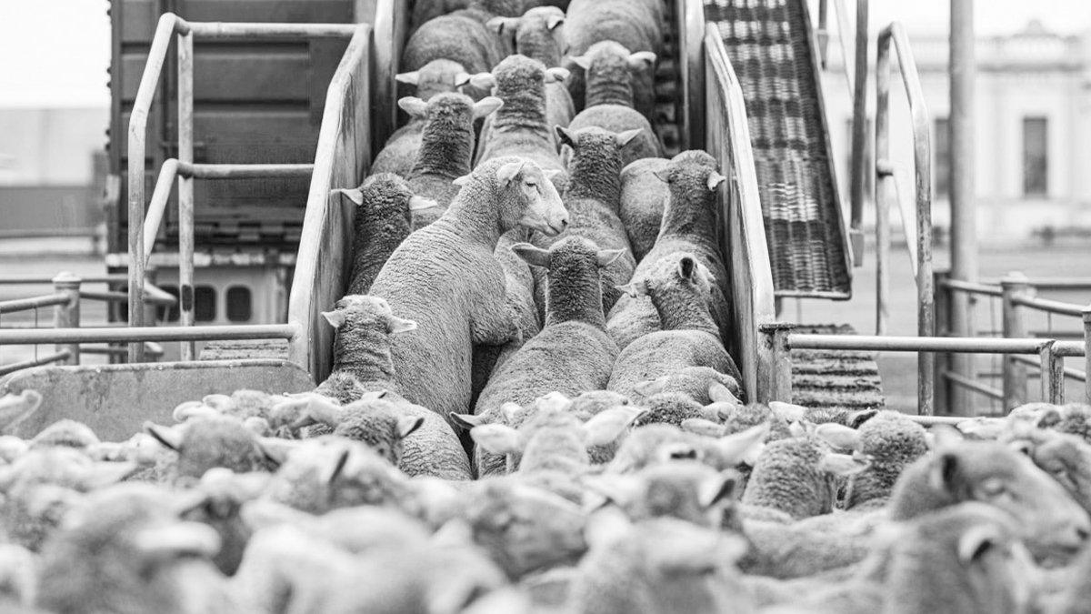 Dubai'ye et ihracatı: Dışarıya satıldı içeride zamlandı