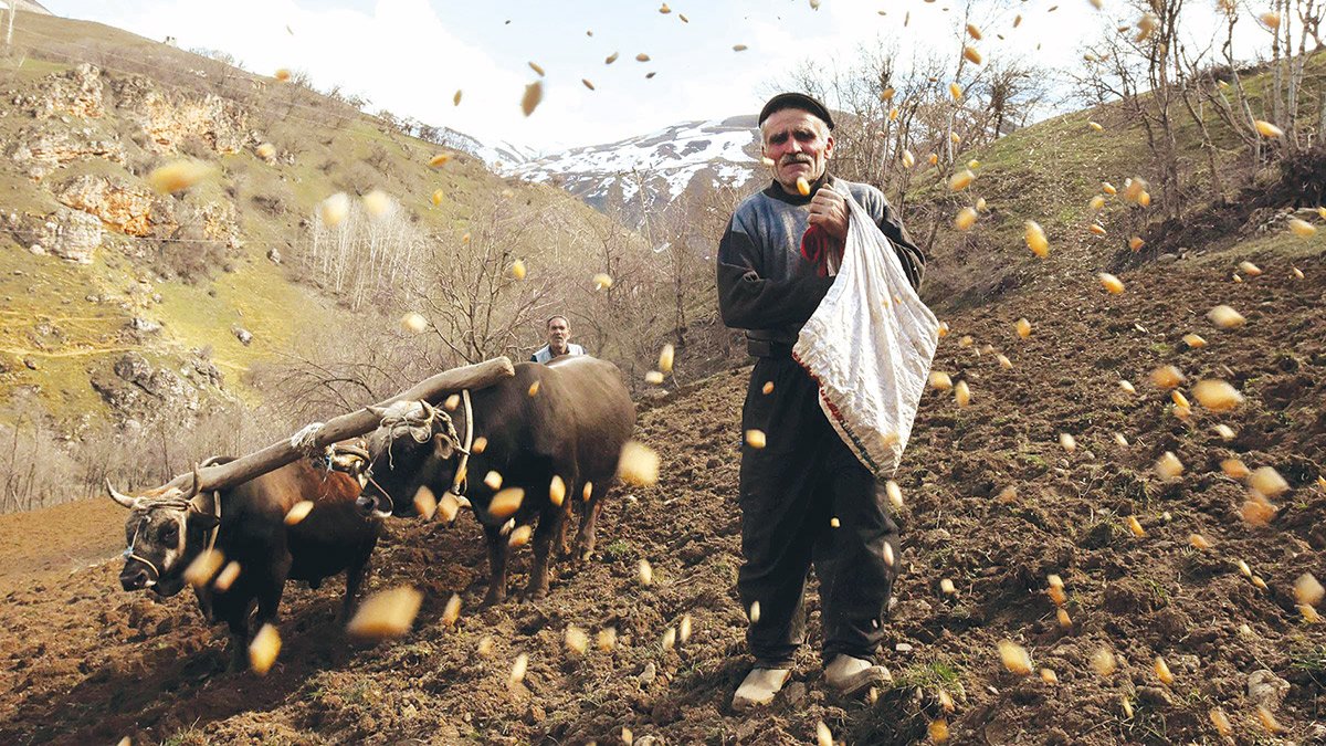 Ekelim de nasıl ekelim?
