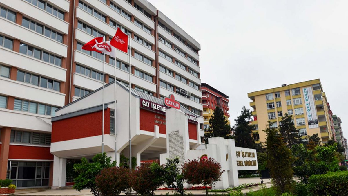 ÇAYKUR, 630 mevsimlik işçi için ilan vermişti: 39 bin 929 işçi başvurdu