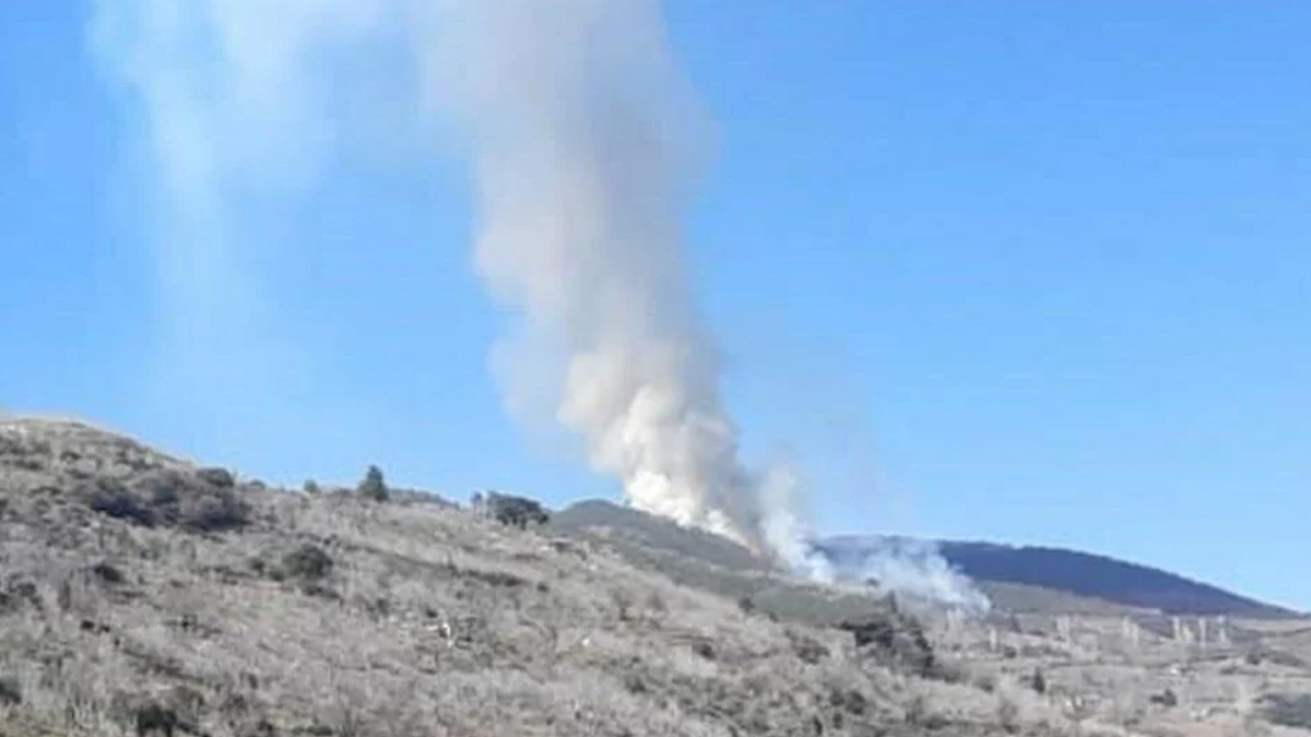 Yemek ısıtmak istedi ormanı yaktı! O şüpheli şahıs tutuklandı
