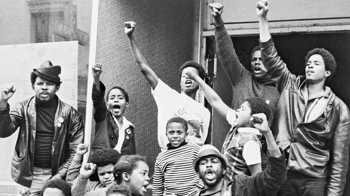 Siyah güç: Kara Panterler