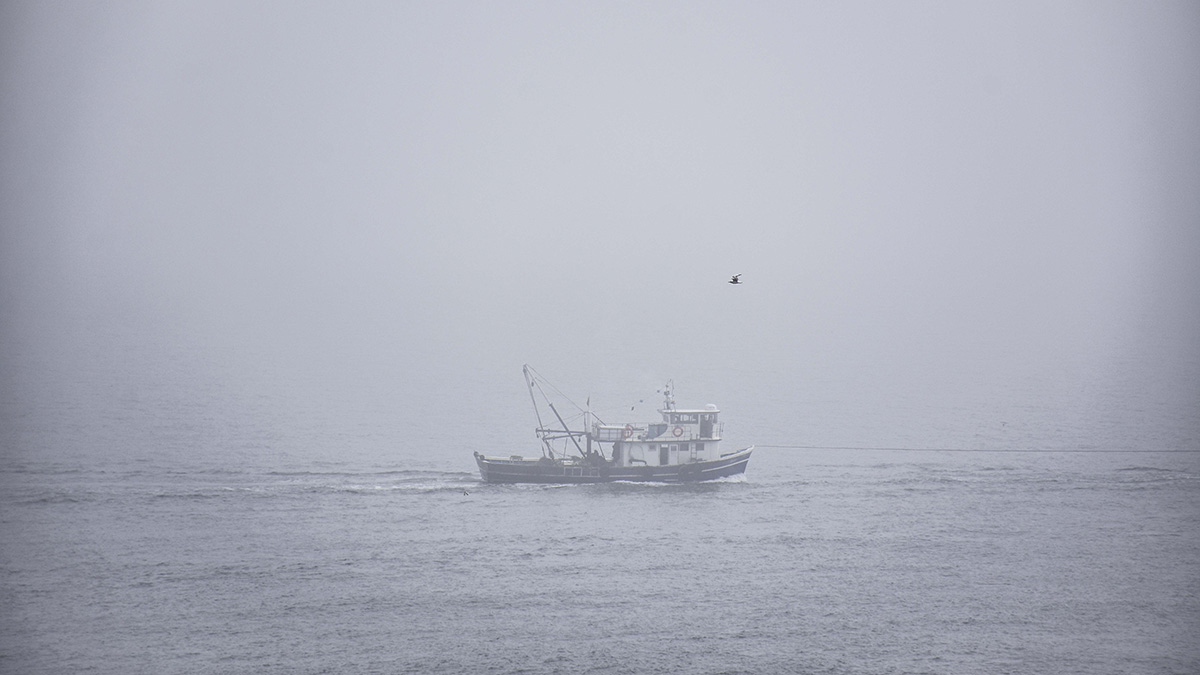 Hava durumu raporuna göre İstanbul başta olmak üzere Türkiye genelinde hava ısınacak! Perşembe ve Cuma'ya dikkat