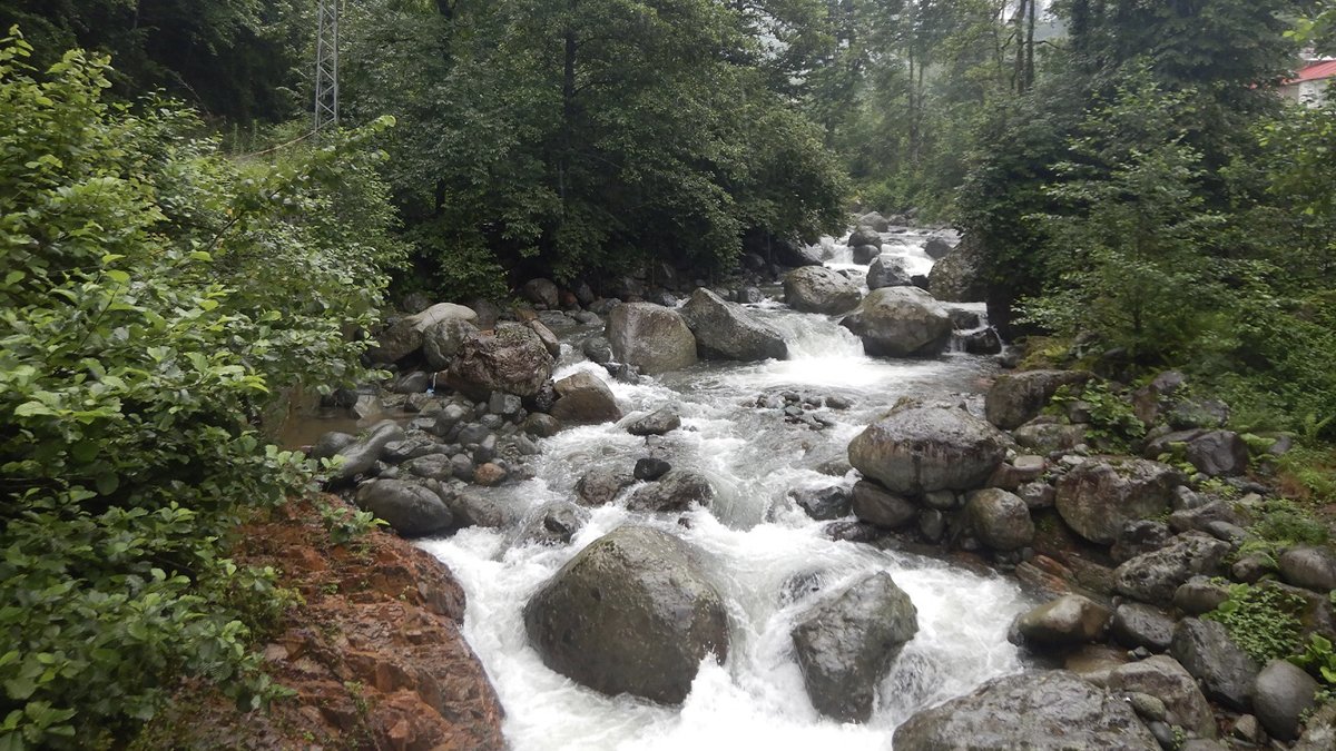 Pilarget Vadisi HES'ten kurtuldu! 'Artık derelerimiz özgür akacak'