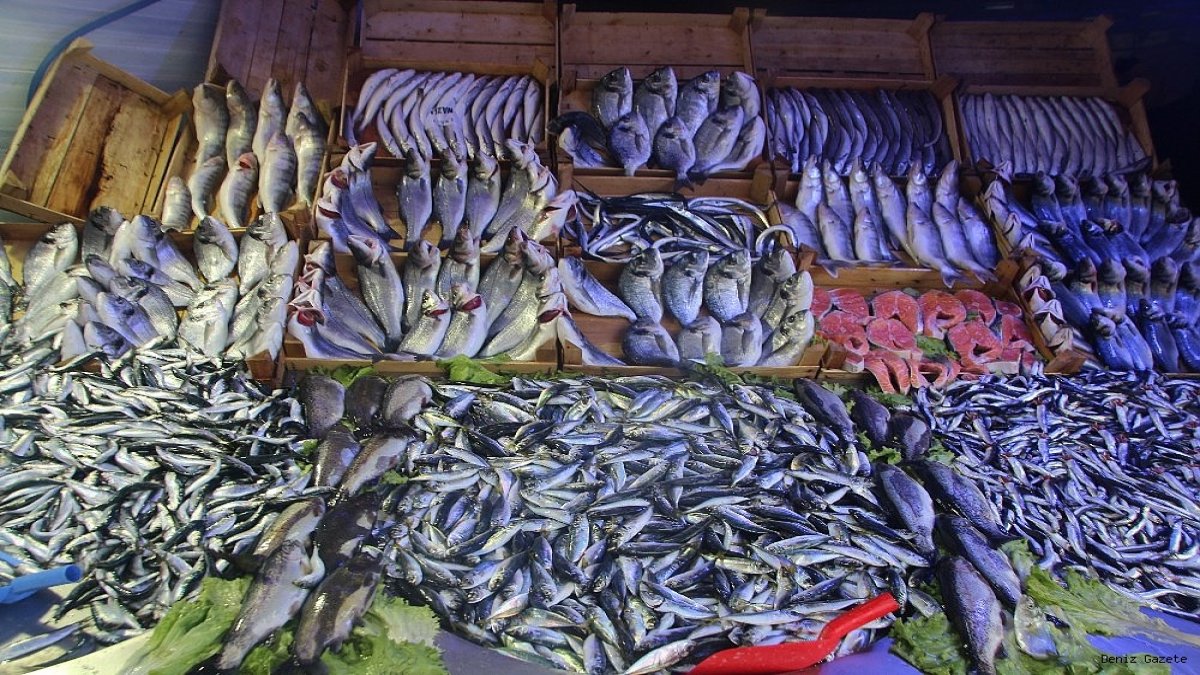Fiyatlar fırladı: Mayın suya değil, balık tezgahlarına düştü