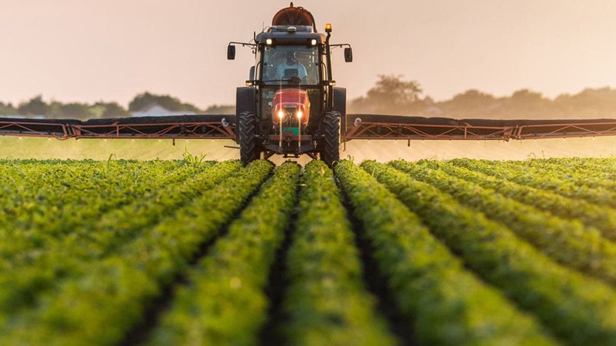 Çiftçinin yardımına Dünya Bankası koştu: Türkiye'ye 341 milyon dolarlık kredi