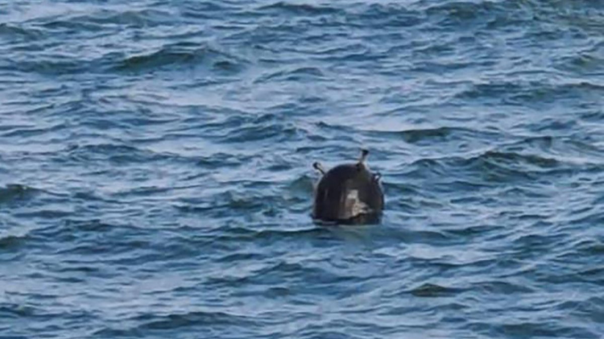 Milli Savunma Bakanlığı'ndan 'mayın' açıklaması