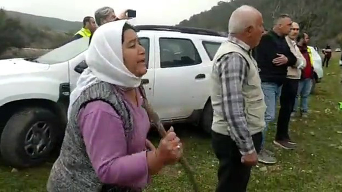 Zeytin ağaçlarının kesimine köylülerden itiraz: Adam öldürmedik vatanımızı savunuyoruz