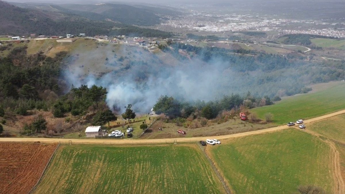 Bursa'da orman yangını: Alevler yayılıyor