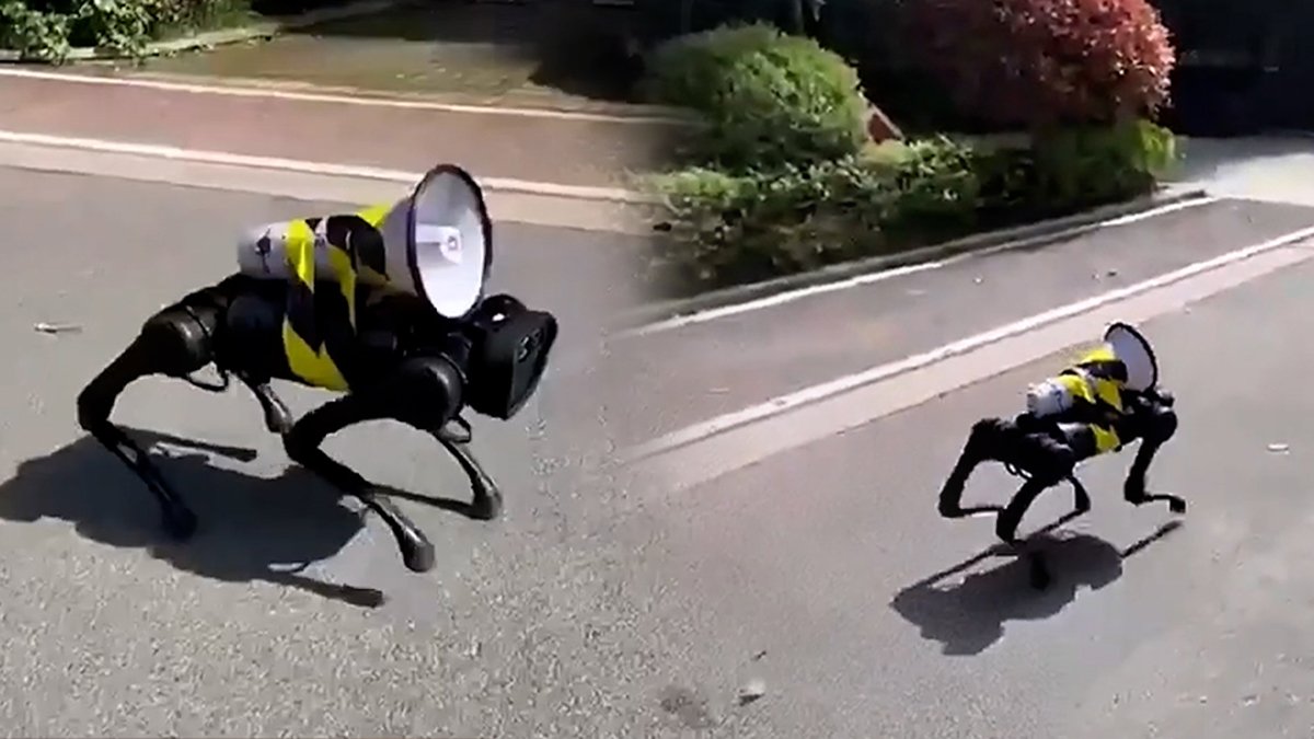 Robot köpekler sokağa çıktı herkes korktu