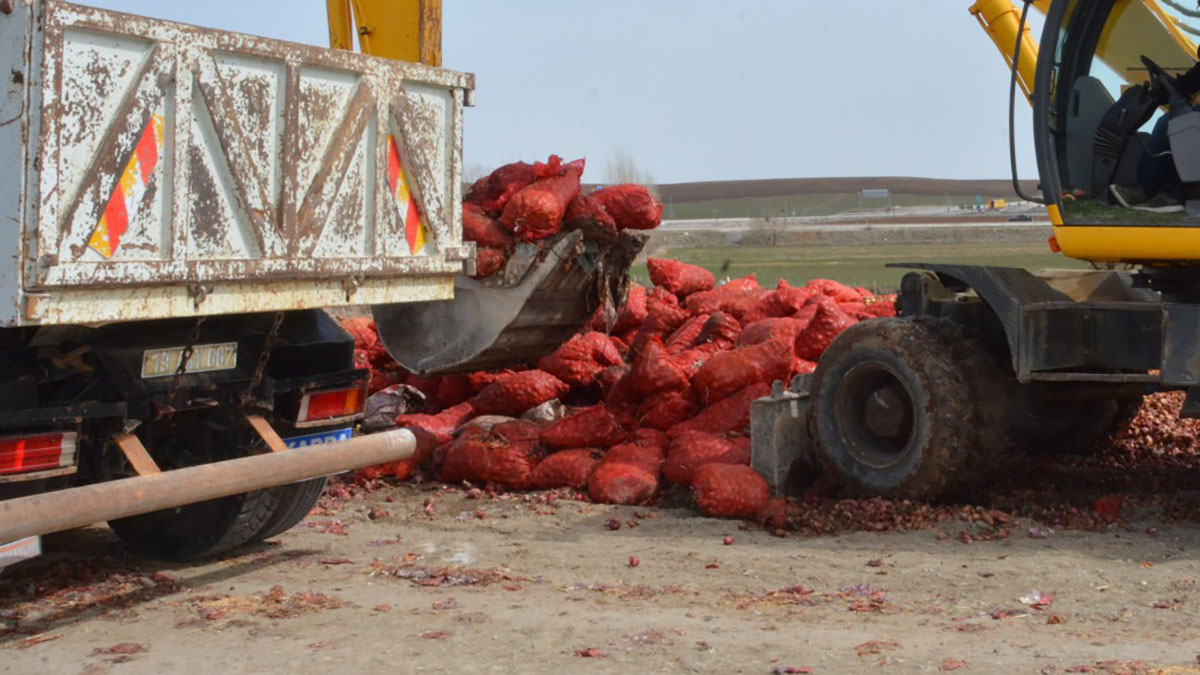Çorum'da üretici zam şampiyonu kuru soğanı yollara attı