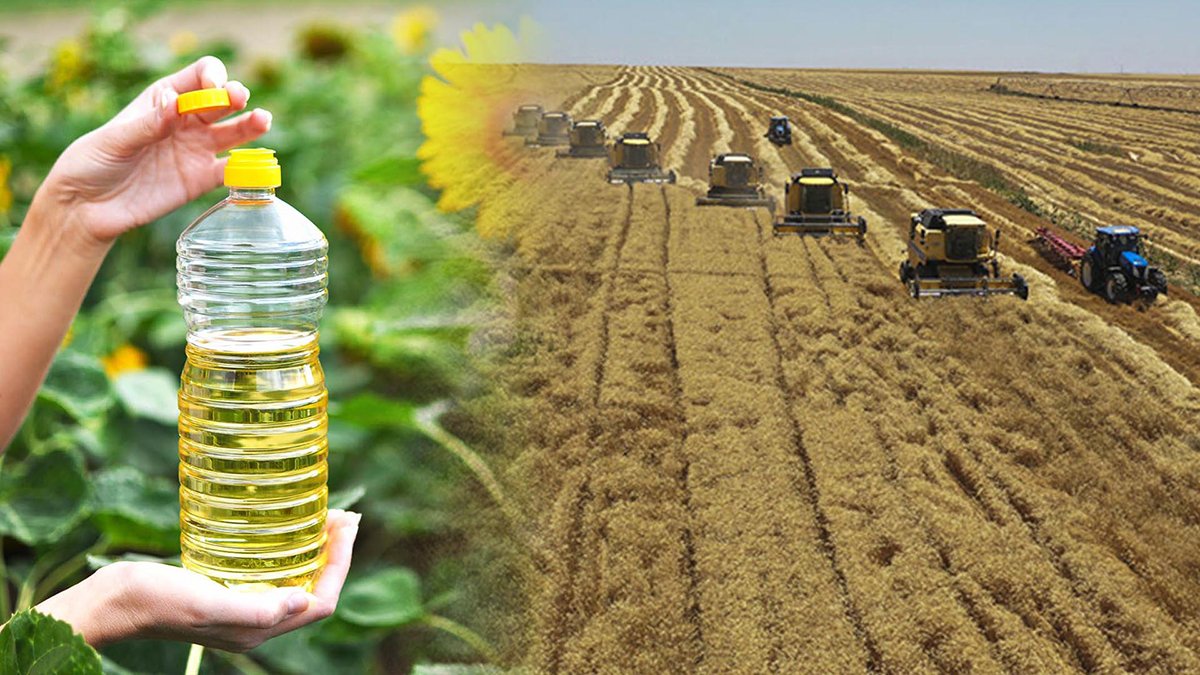 Rusya kota getirmişti... TMO Başkanı 'Sıkıntı yok, 18 bin ton ayçiçeği yolda' dedi