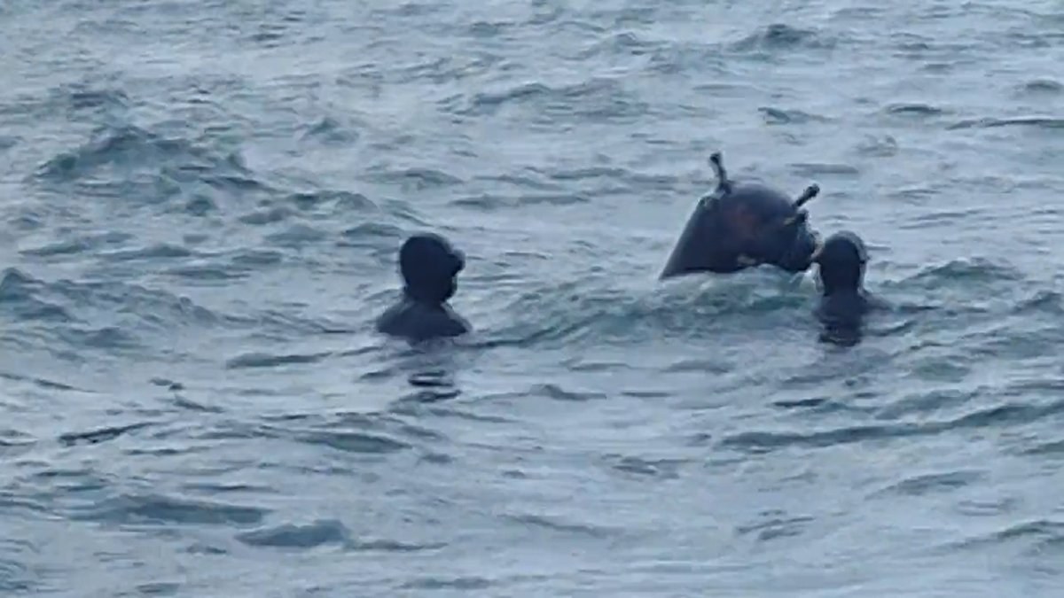 Komandoların Karadeniz'de mayın temizliği görüntüleri ilk kez ortaya çıktı