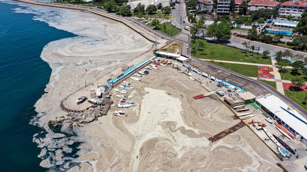 Marmara denizi için korkutan uyarı: Yeni bir müsilaj patlayabilir