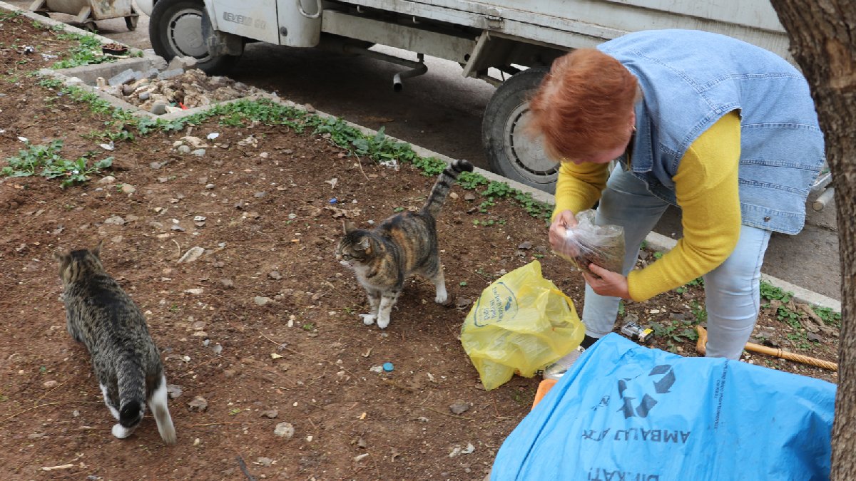20 yıldır sahipsiz hayvanları besliyor: Ölene kadar da onları doyuracağım