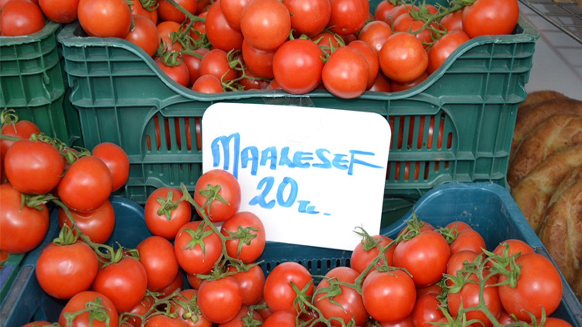 Kendini anlatamayan esnaf böyle çözüm buldu: Manavda 'maalesef 20 TL' etiketi